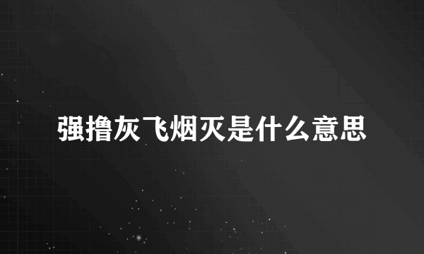 强撸灰飞烟灭是什么意思