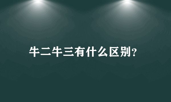 牛二牛三有什么区别？