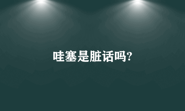 哇塞是脏话吗?