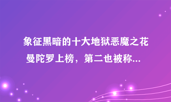 象征黑暗的十大地狱恶魔之花 曼陀罗上榜，第二也被称为“地狱花”