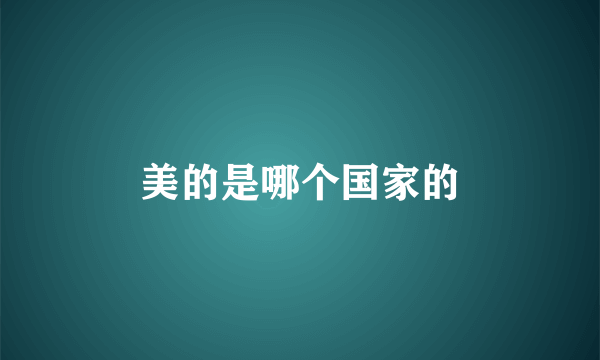 美的是哪个国家的