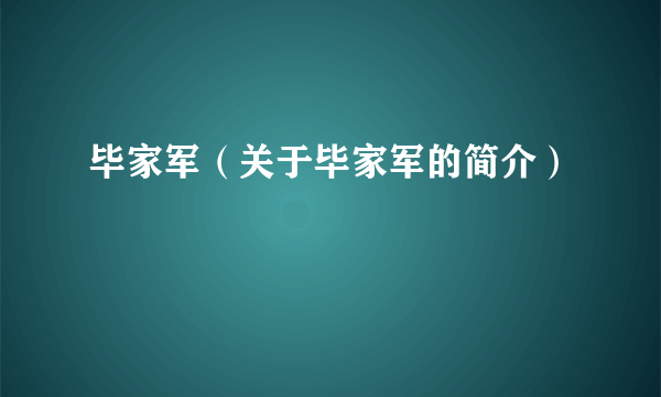 毕家军（关于毕家军的简介）