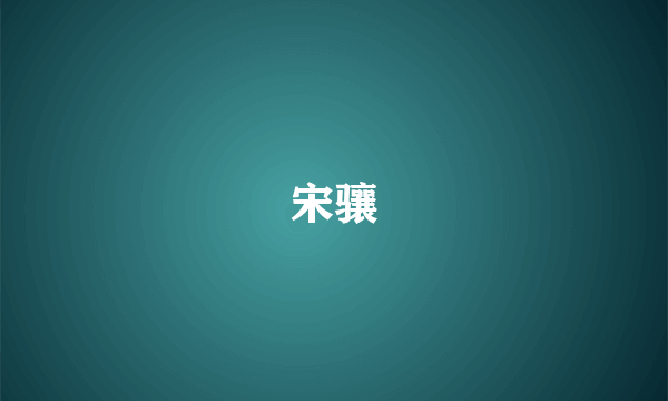 宋骧