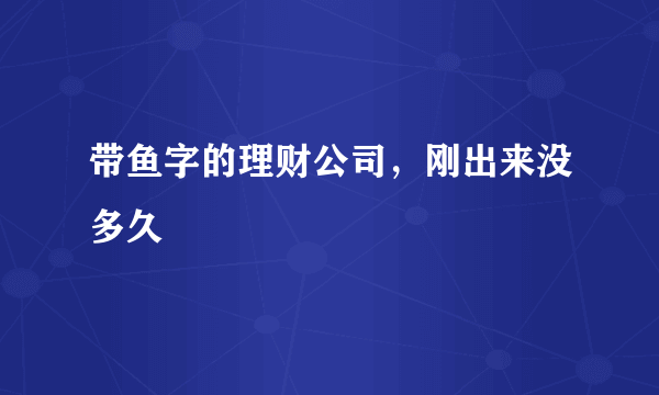 带鱼字的理财公司，刚出来没多久