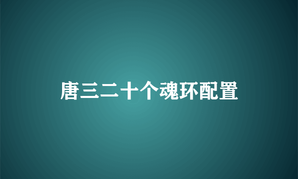 唐三二十个魂环配置