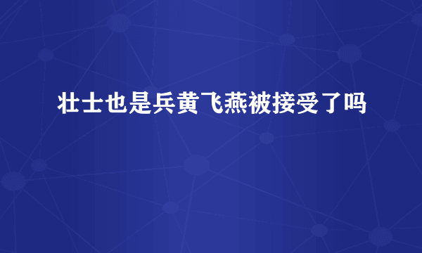 壮士也是兵黄飞燕被接受了吗