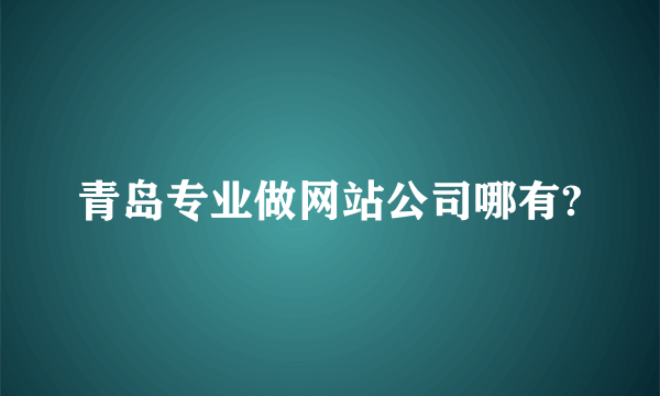 青岛专业做网站公司哪有?