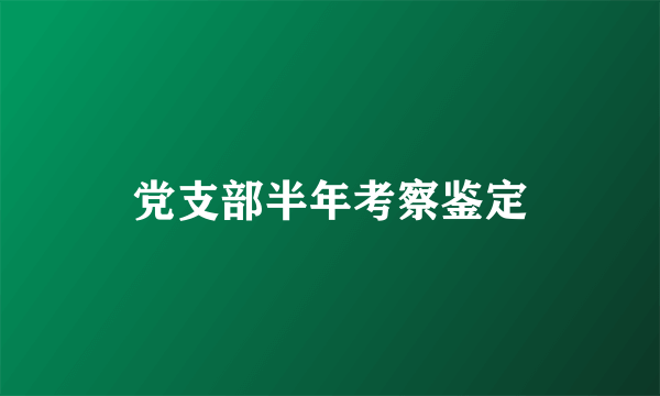 党支部半年考察鉴定