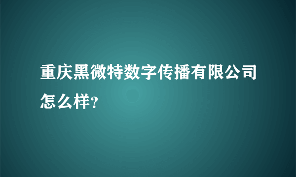 重庆黑微特数字传播有限公司怎么样？