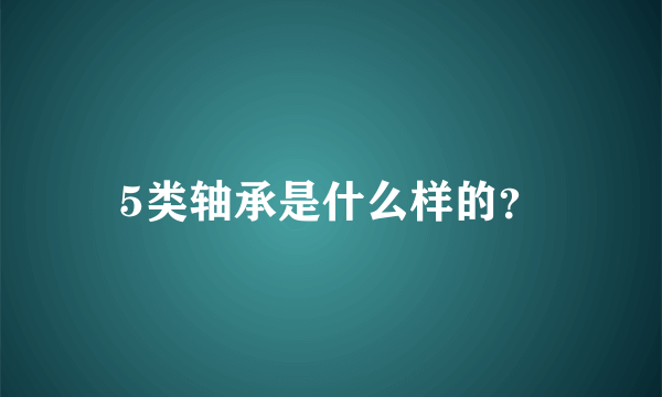 5类轴承是什么样的？