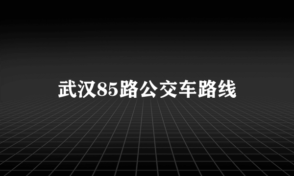 武汉85路公交车路线