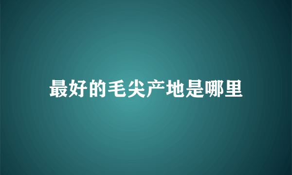 最好的毛尖产地是哪里