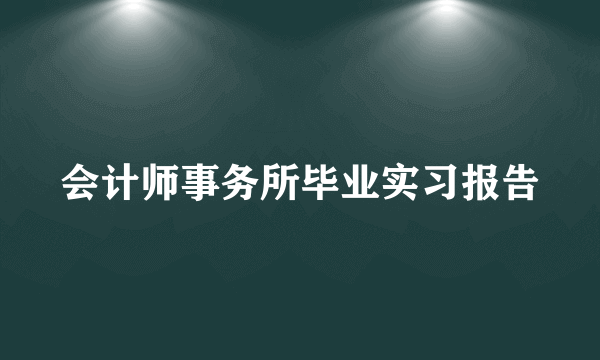 会计师事务所毕业实习报告