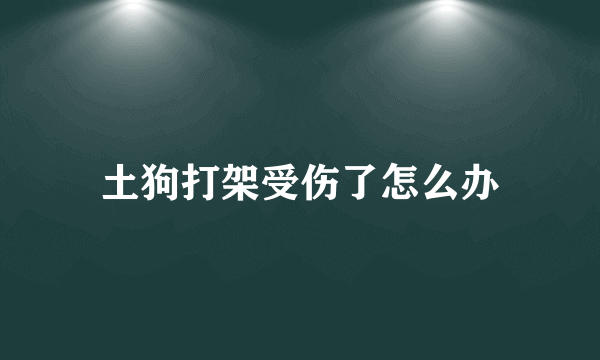 土狗打架受伤了怎么办