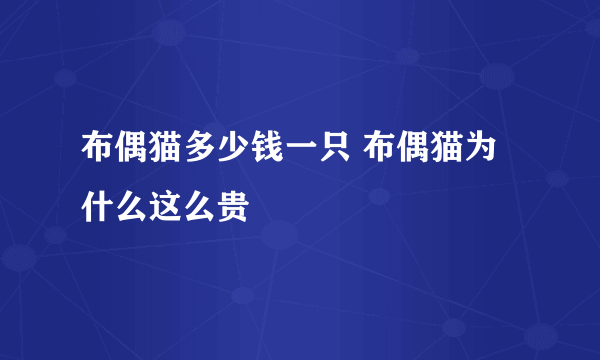 布偶猫多少钱一只 布偶猫为什么这么贵