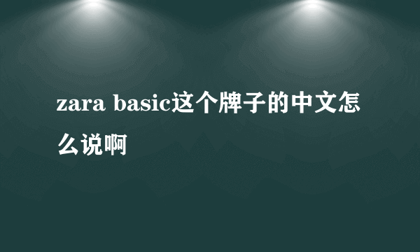 zara basic这个牌子的中文怎么说啊