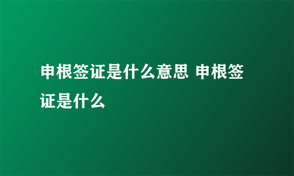 申根签证是什么意思 申根签证是什么