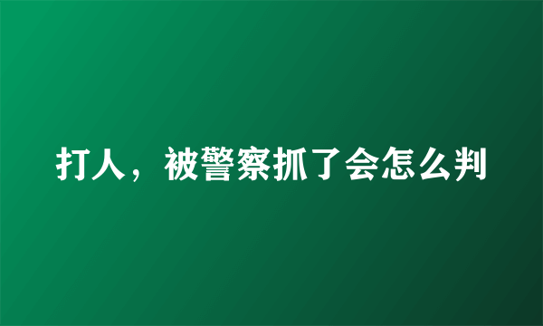 打人，被警察抓了会怎么判