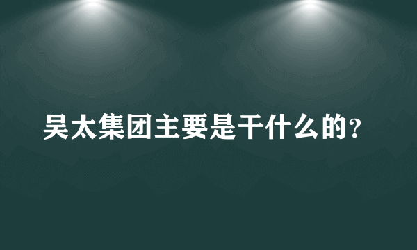 吴太集团主要是干什么的？