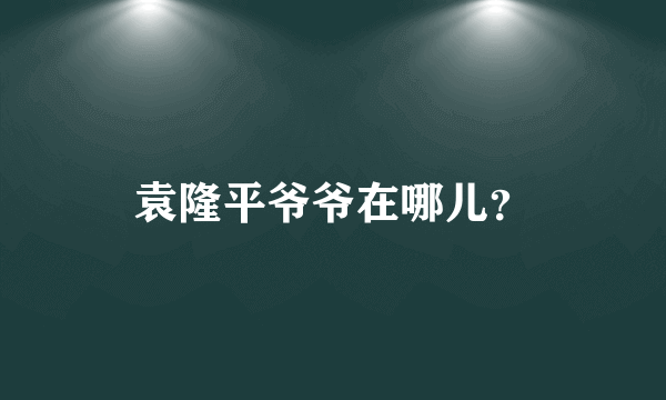 袁隆平爷爷在哪儿？