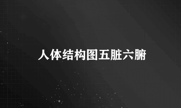  人体结构图五脏六腑