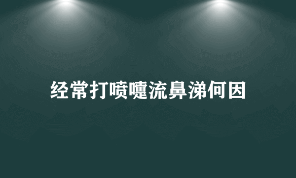 经常打喷嚏流鼻涕何因