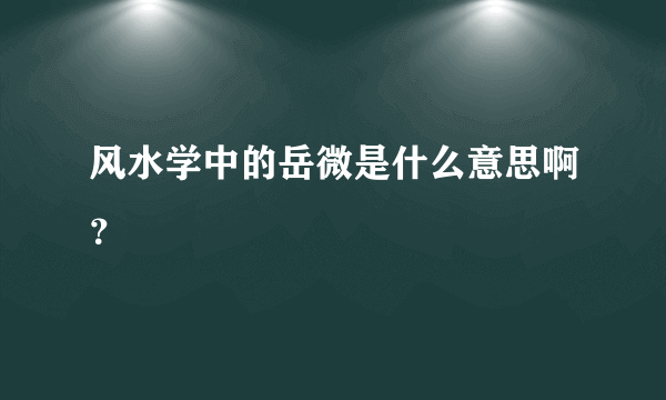 风水学中的岳微是什么意思啊？