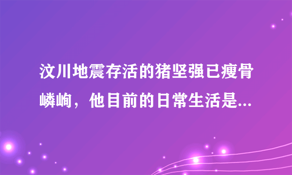 汶川地震存活的猪坚强已瘦骨嶙峋，他目前的日常生活是怎样的？