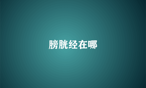 膀胱经在哪