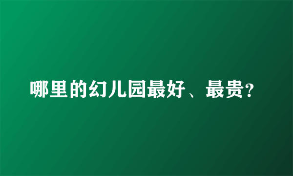 哪里的幻儿园最好、最贵？