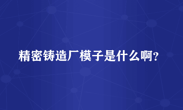 精密铸造厂模子是什么啊？