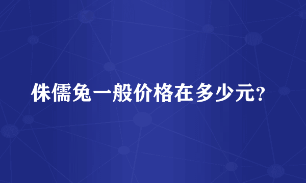 侏儒兔一般价格在多少元？