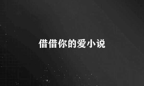 借借你的爱小说