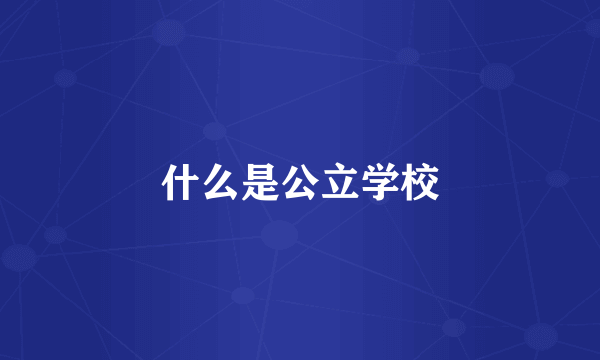 什么是公立学校