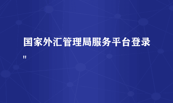 国家外汇管理局服务平台登录