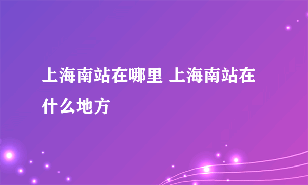 上海南站在哪里 上海南站在什么地方
