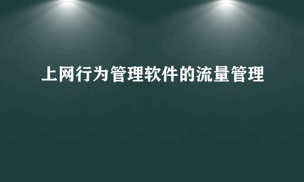 上网行为管理软件的流量管理