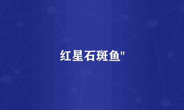 红星石斑鱼