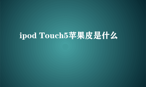 ipod Touch5苹果皮是什么