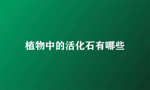 植物中的活化石有哪些