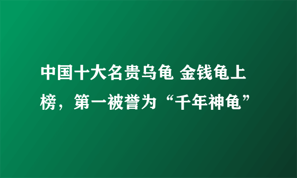 中国十大名贵乌龟 金钱龟上榜，第一被誉为“千年神龟”