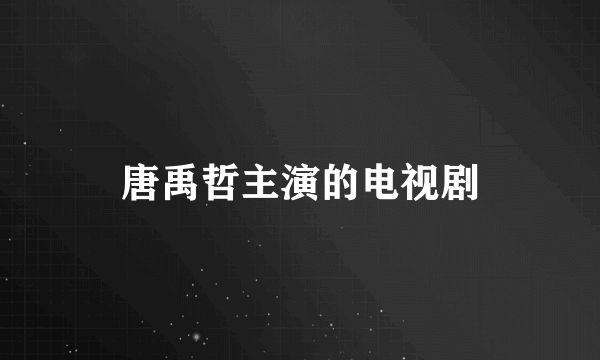 唐禹哲主演的电视剧