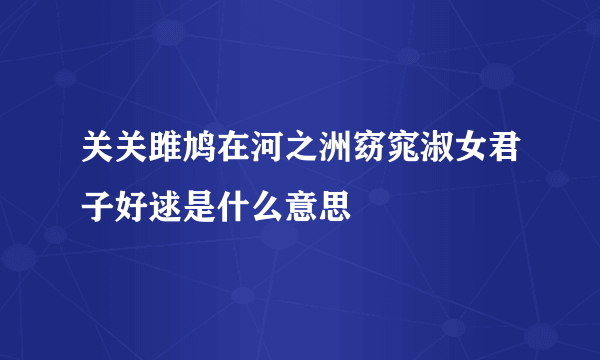 关关雎鸠在河之洲窈窕淑女君子好逑是什么意思