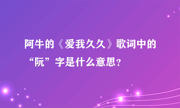 阿牛的《爱我久久》歌词中的“阮”字是什么意思？