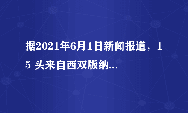 据2021年6月1日新闻报道，15 头来自西双版纳的野生亚洲象一路向北，已接近昆明。象群中其他成员跟着“首领”走的行为属于（　　）A.社会行为