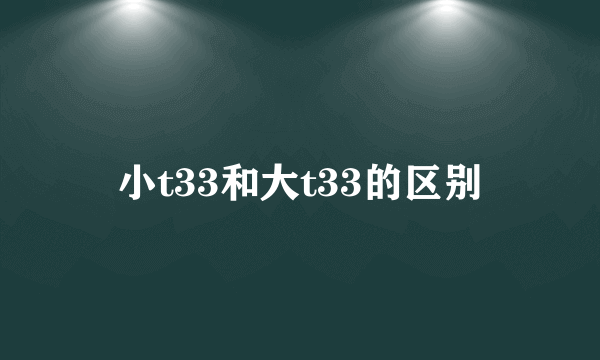 小t33和大t33的区别