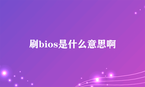 刷bios是什么意思啊