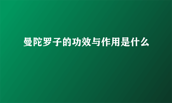 曼陀罗子的功效与作用是什么