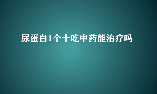 尿蛋白1个十吃中药能治疗吗