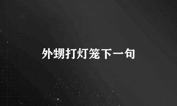 外甥打灯笼下一句